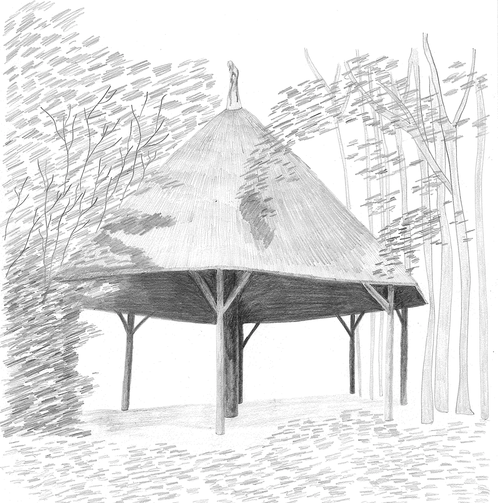 Bois de la cambre / Bruxelles